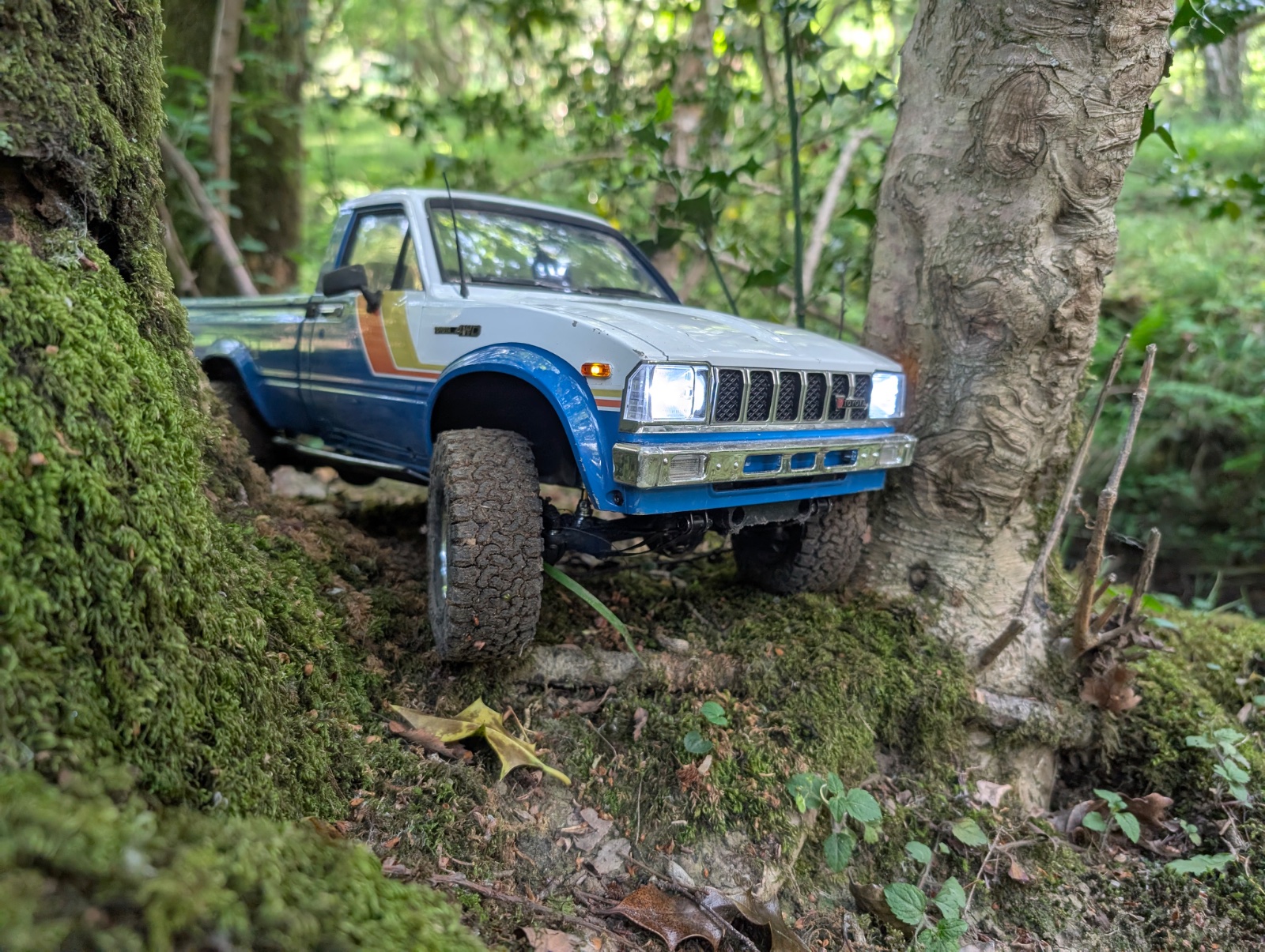 I've just bought an RTR — what now?